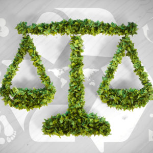 Environmental Law: Government and Public Policy Towards the Environment