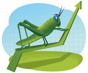 Grasshoper